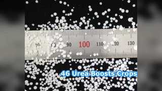 Impulsionar colheitas: fertilizante com 46% de ureia para agricultores