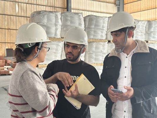 Tio2 tipo universal dióxido de titânio SR-2377 do Rutile do sulfato para as pinturas Cas 13463-67-7 da primeira demão