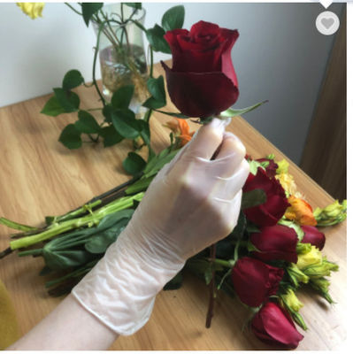 Inspeção descartável clara Glovees do vinil da luva do vinil do PVC da transformação de produtos alimentares